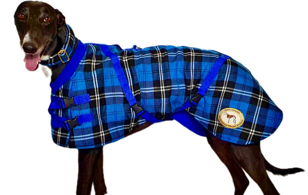 Twill Checked Housecoat & Martingale Collar