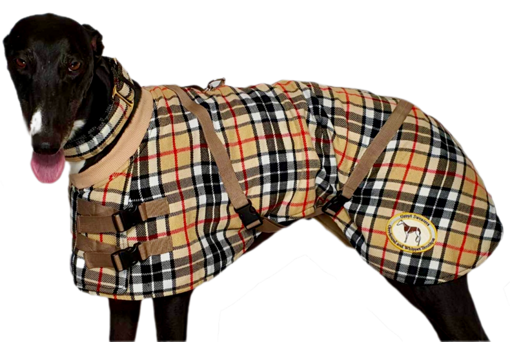 Beige/Brown Checked Twill Coat & matching Martingale Collar for Greyhounds