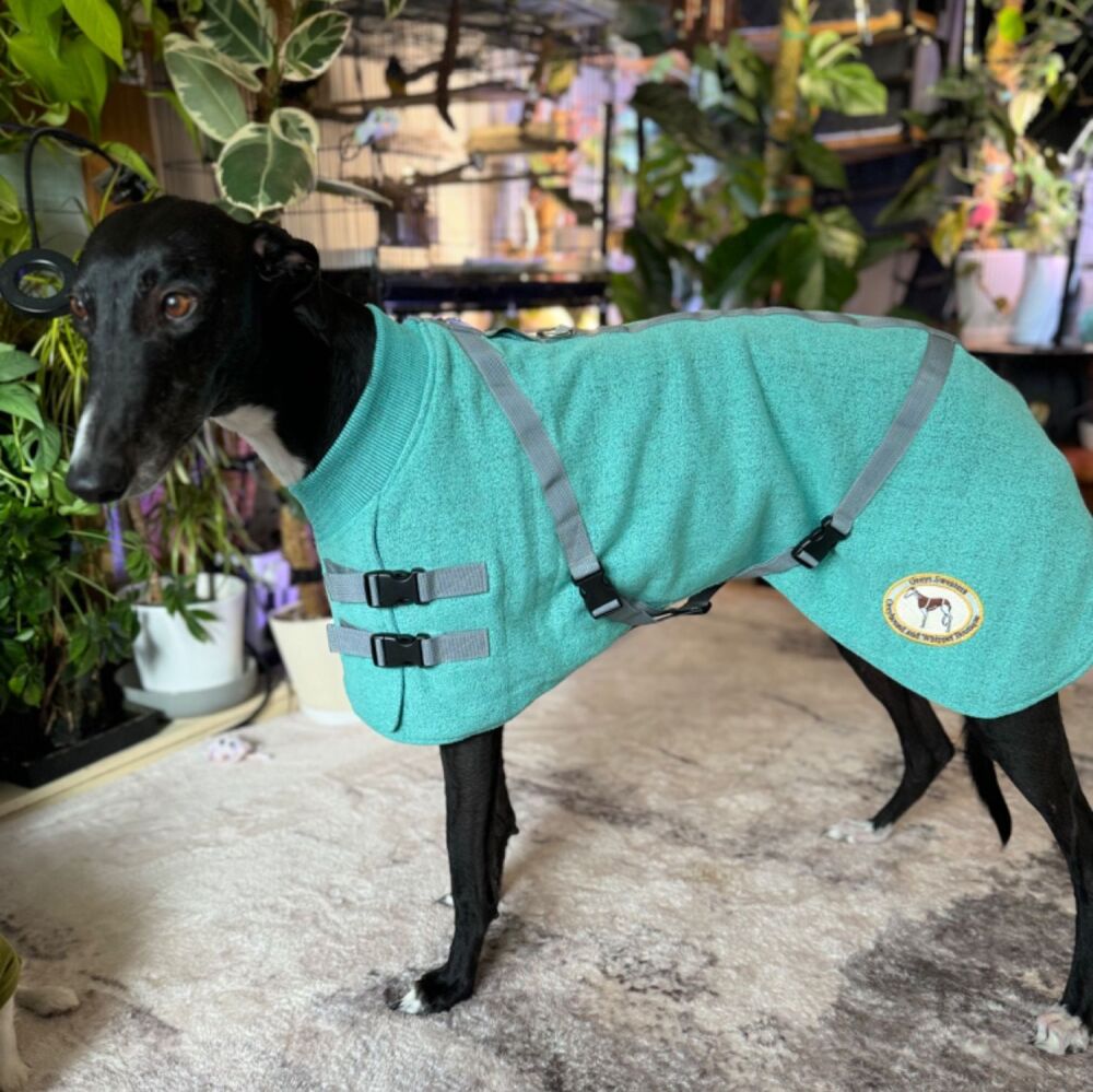Teal Marl Jersey Sweater for Greyhounds