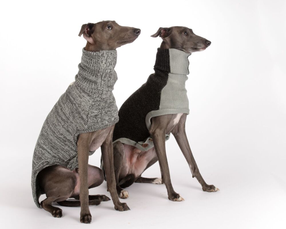 Brindle Sweaters  for Italian Greyhounds