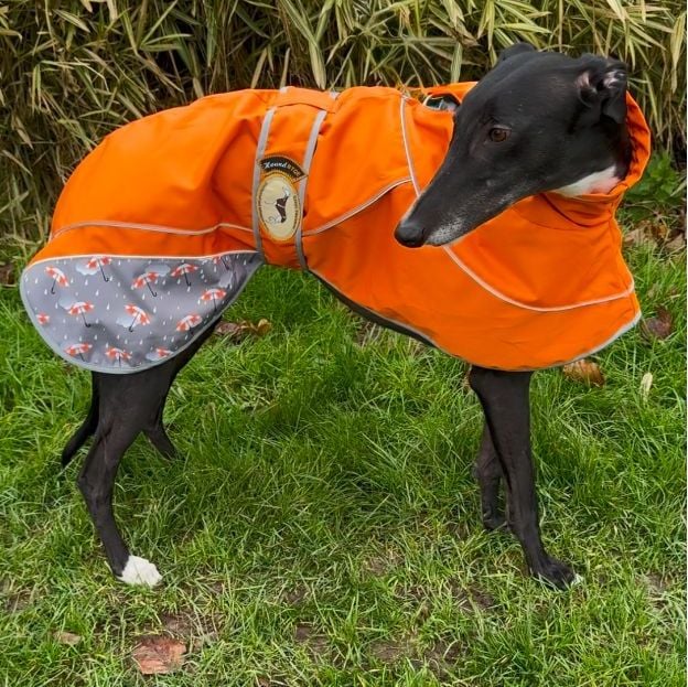 Umbrella Print Lightweight Rain Macs IN STOCK