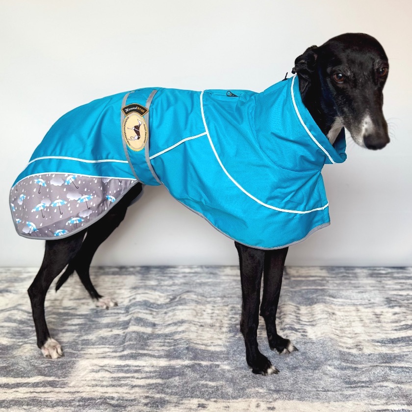 Umbrella Print Lightweight Rain Macs