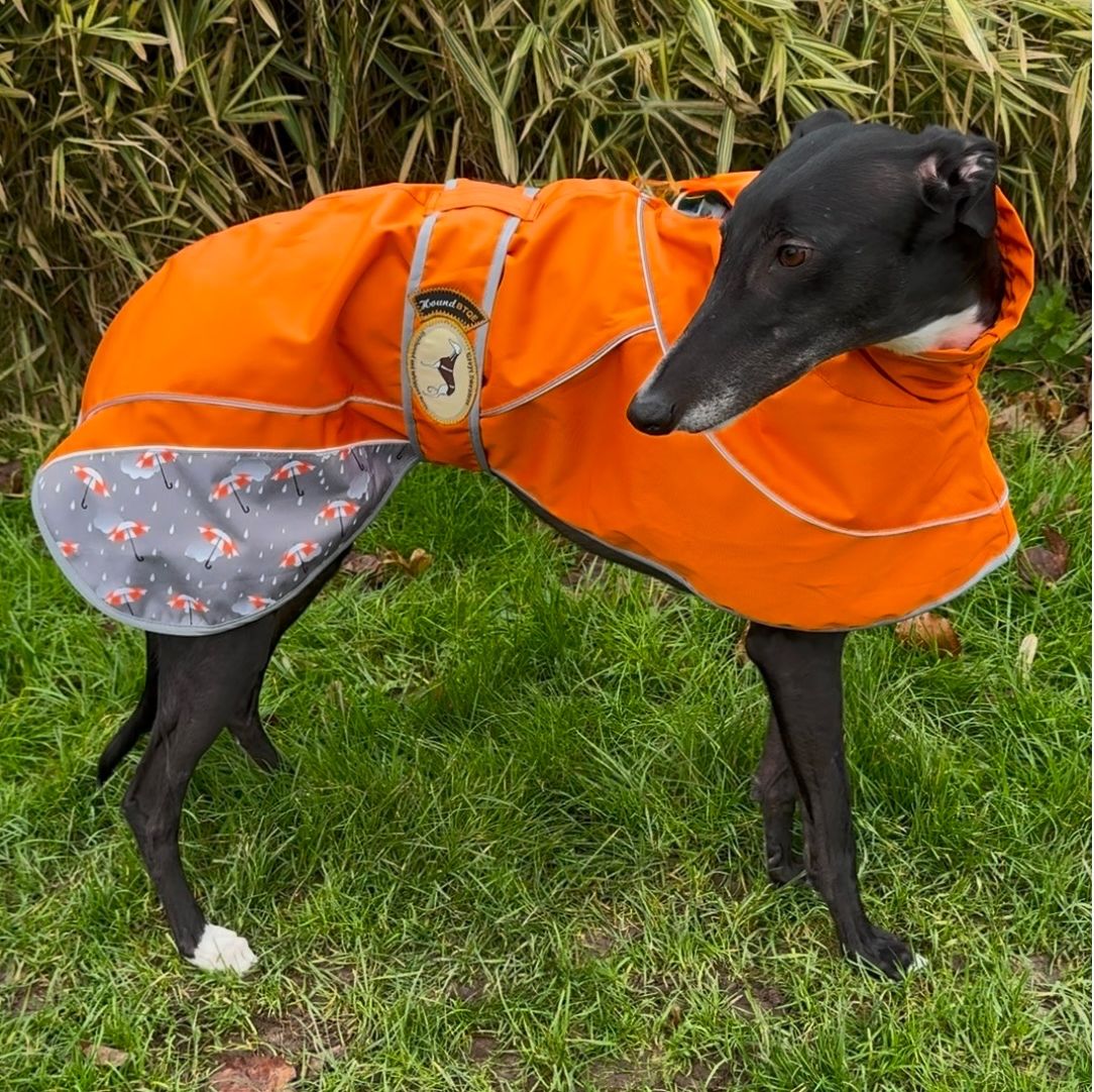 Orange Umbrella Print Rain Mac for Greyhounds