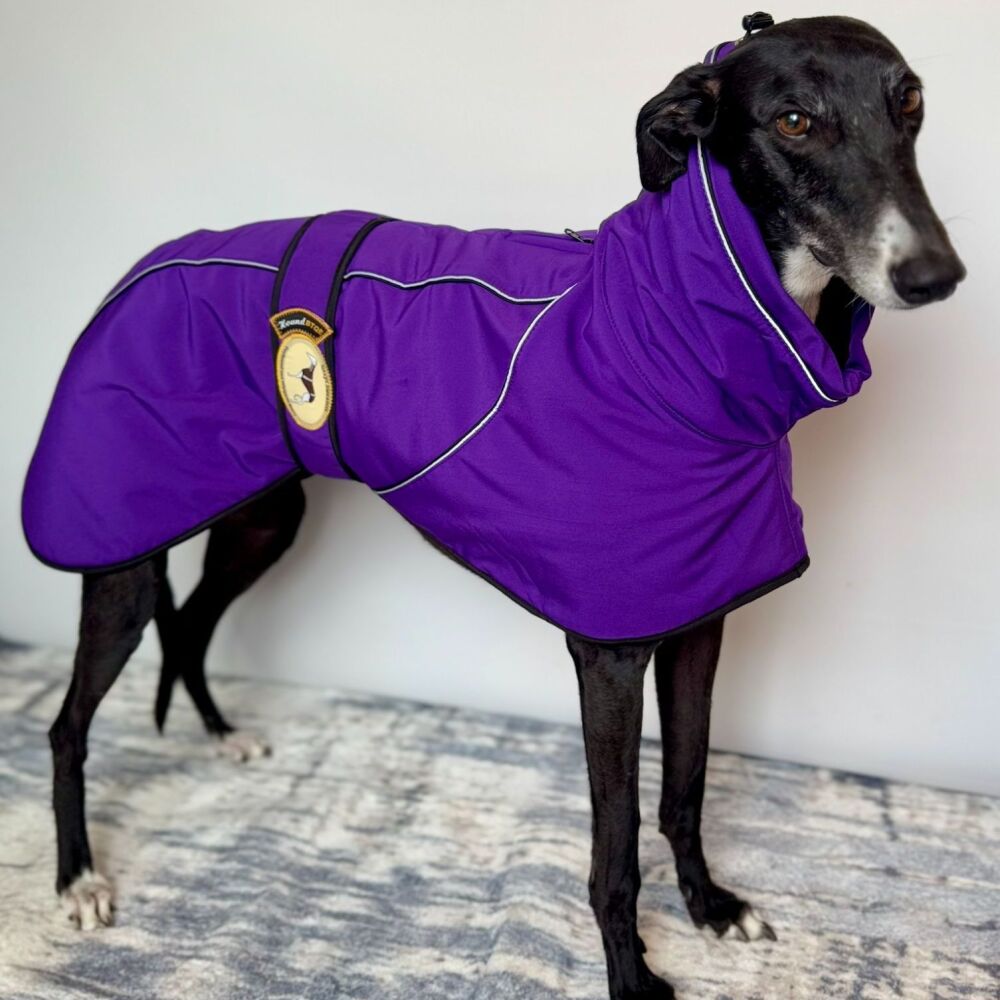 Deep Purple Soft Shell Jacket for Greyhounds