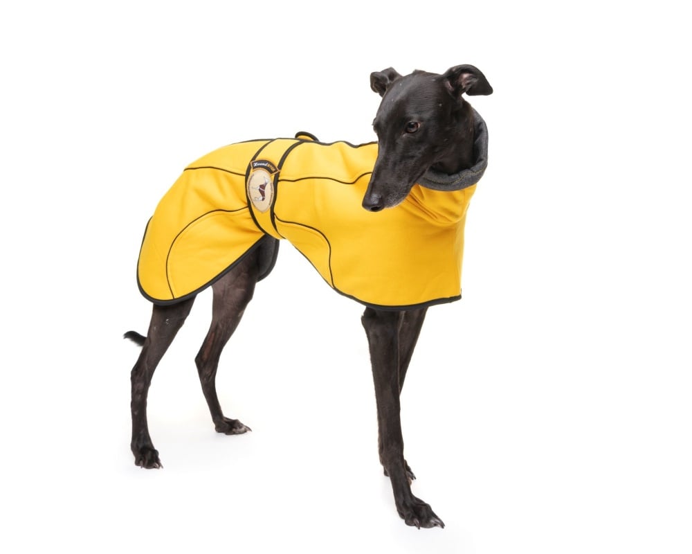 Sunny Yellow Jersey Fleece for Whippets MADE TO ORDER