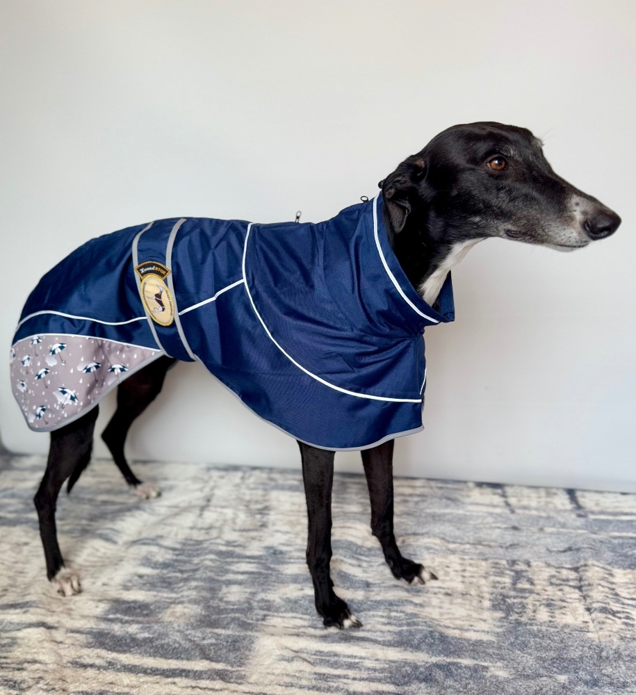 Navy Blue Umbrella Print Rain Mac for Greyhounds