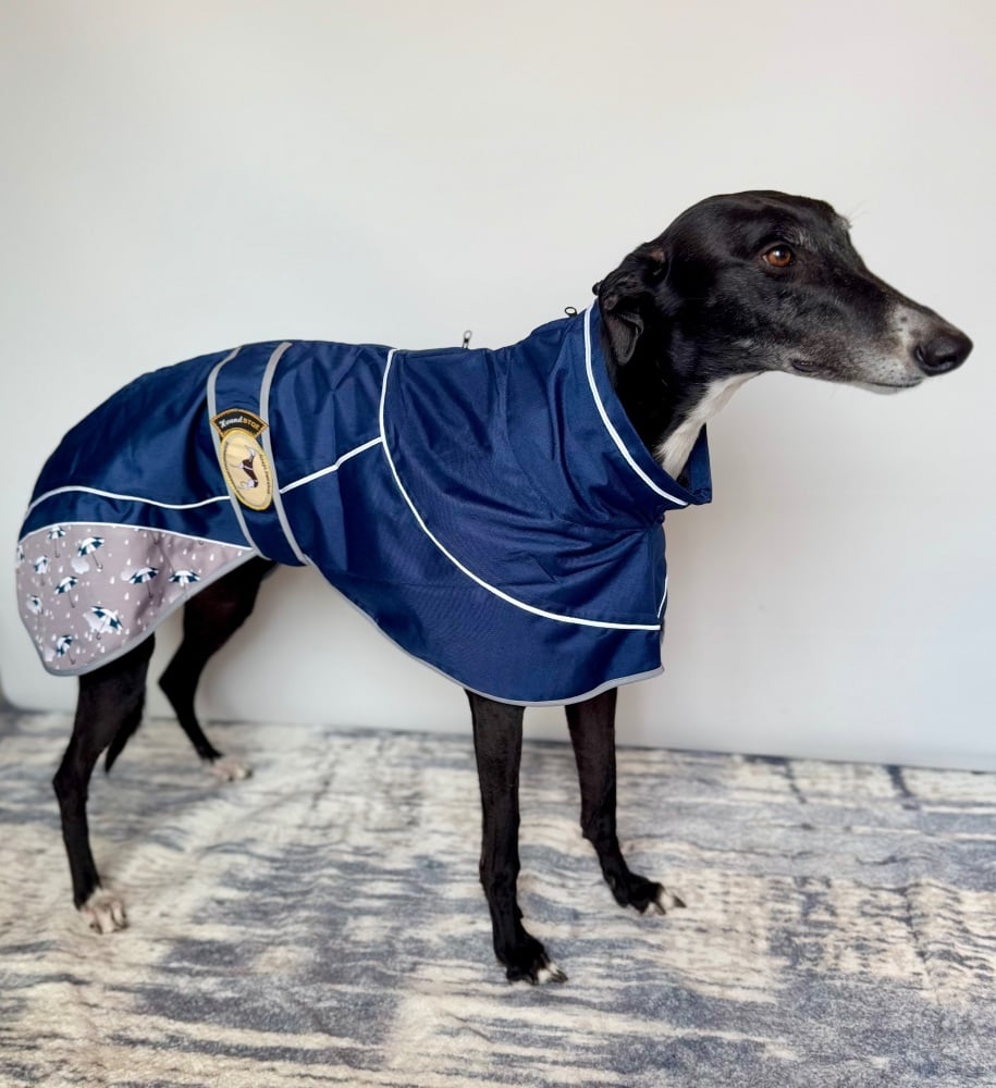 Navy Blue Umbrella Print Rain Mac for Whippets