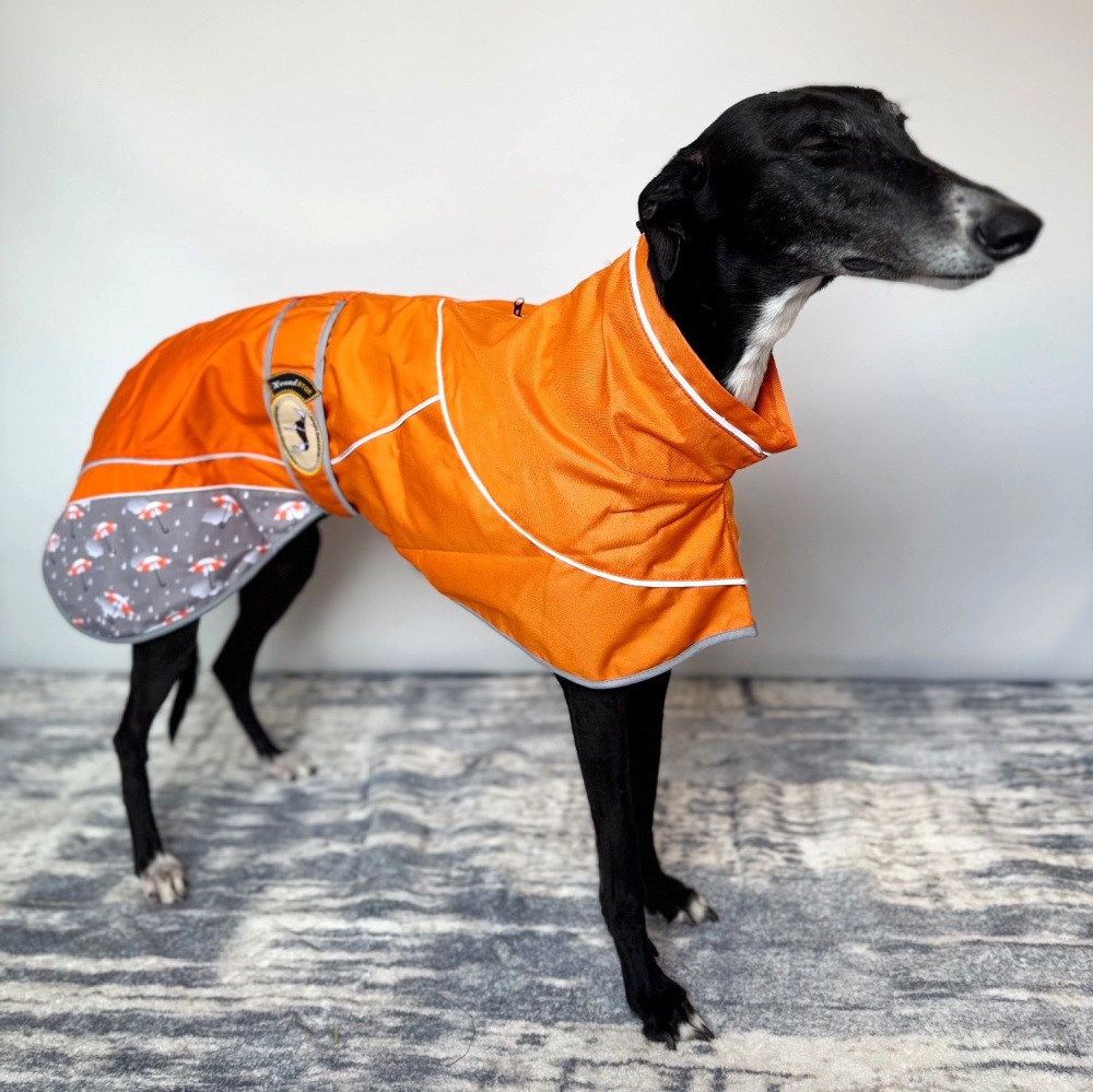 Orange Umbrella Print Rain Mac for Greyhounds