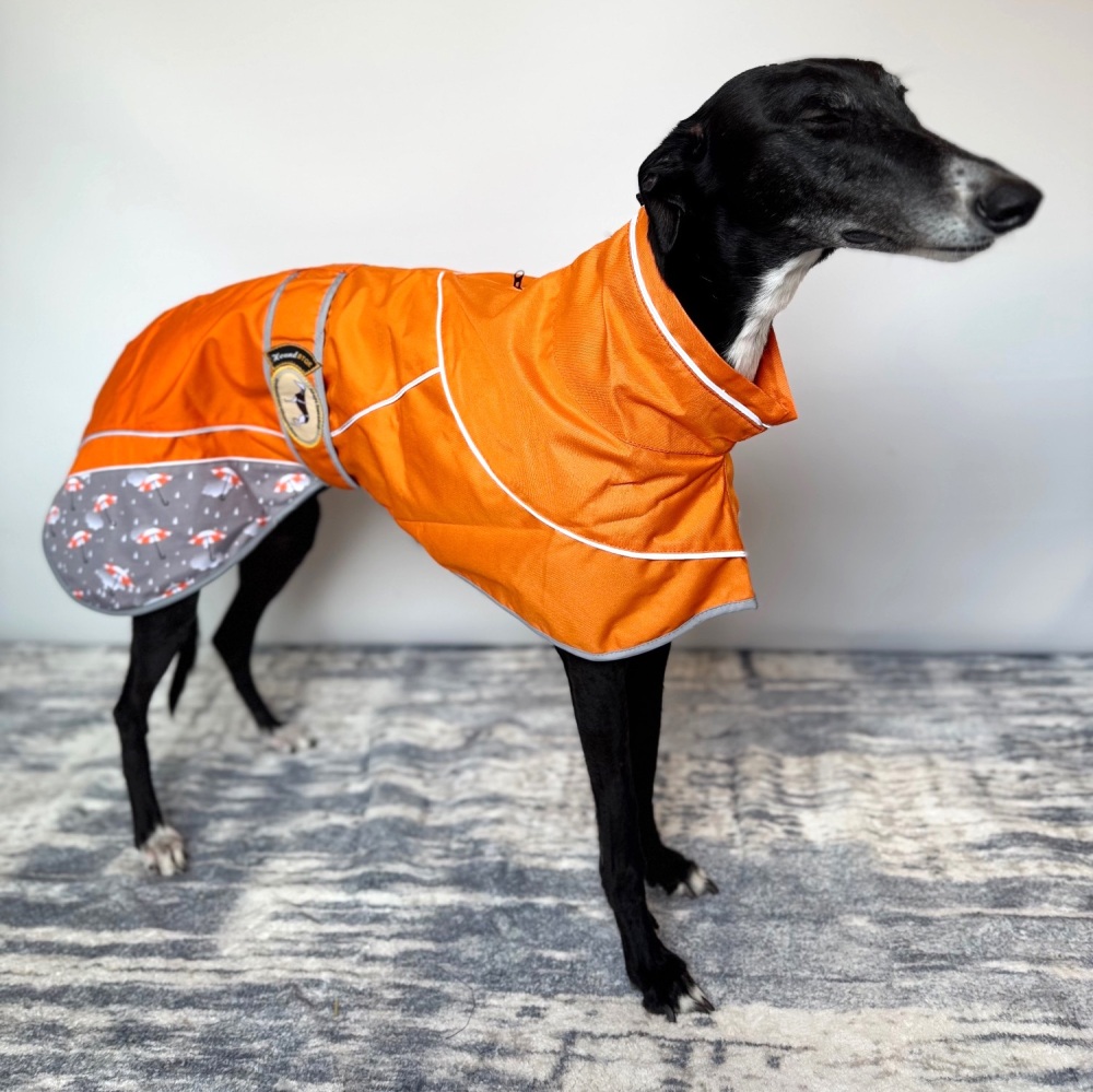 Orange Umbrella Print Rain Mac for Whippets