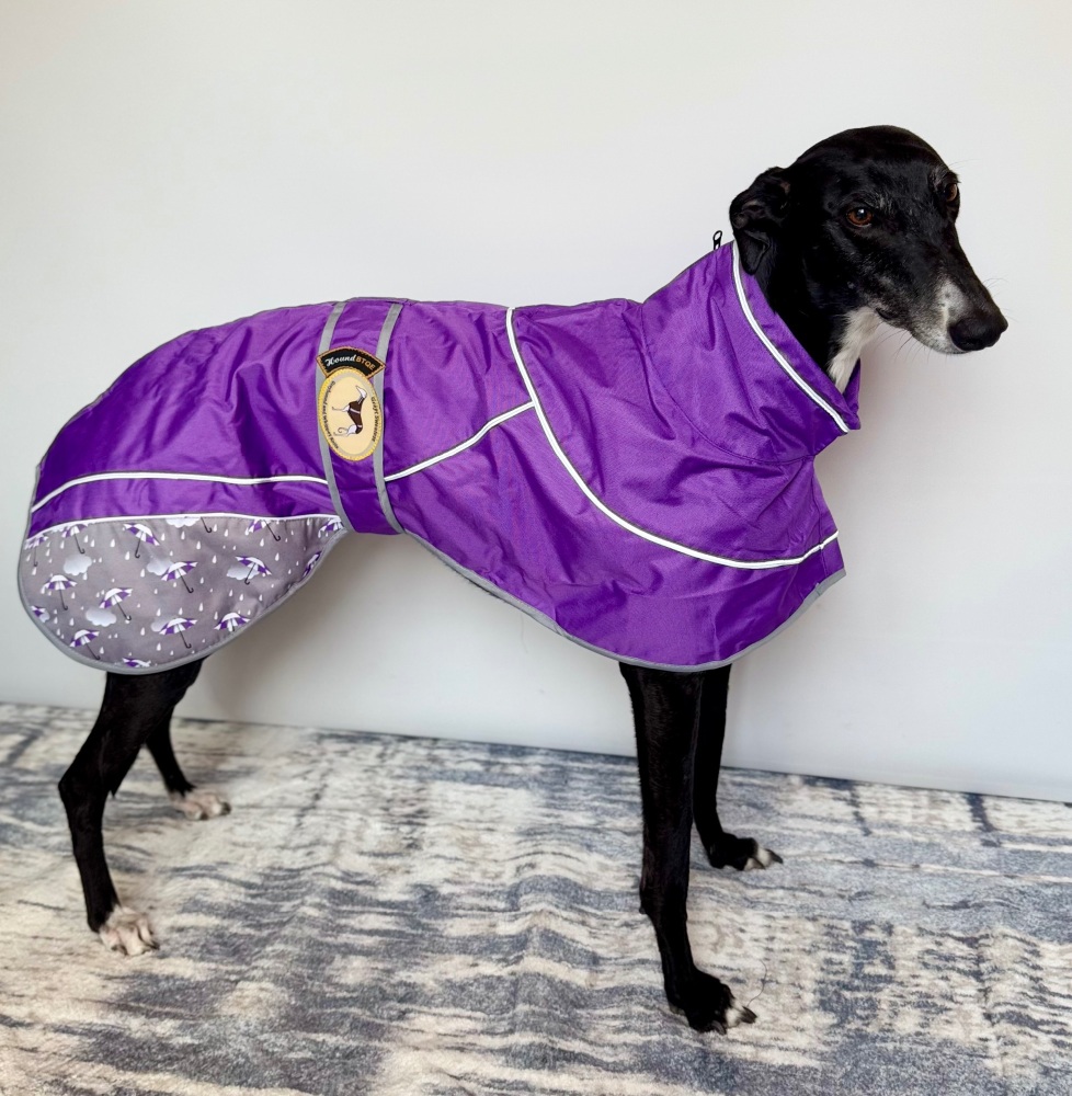 Purple Umbrella Print Rain Mac for Greyhounds