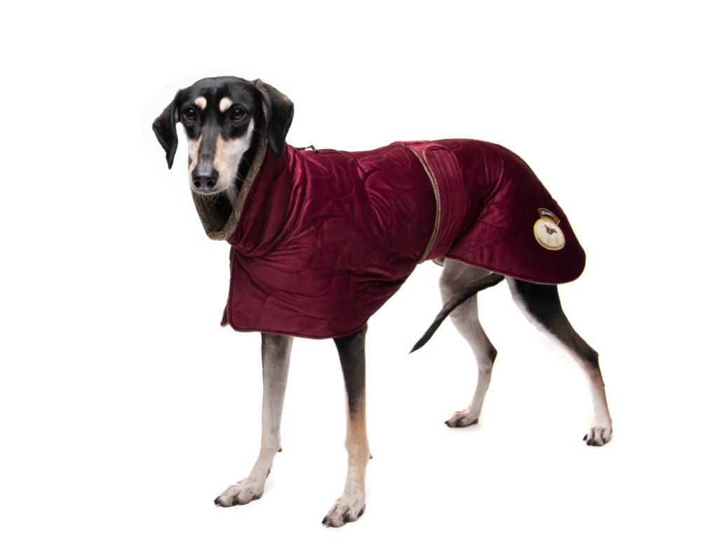 Regal Velvet-Knit Jackets