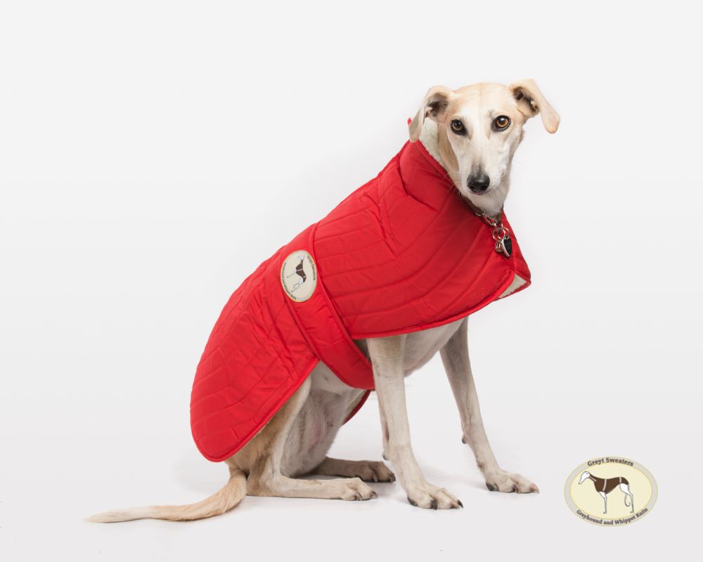 Waterproof Quilted Jackets 20% off last stock