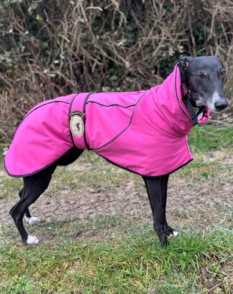 Deep Pink Soft Shell Jacket for Greyhounds *NEW COLOUR*