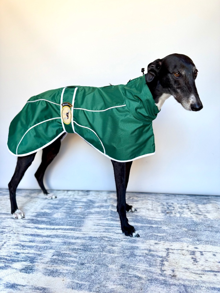 Forest Green Rain Mac for Greyhounds