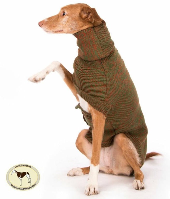 Brindle Sweater: Green/Tan for Greyhounds