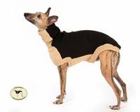 Contrast Sweater: Chocolate Brown with Beige for Whippets