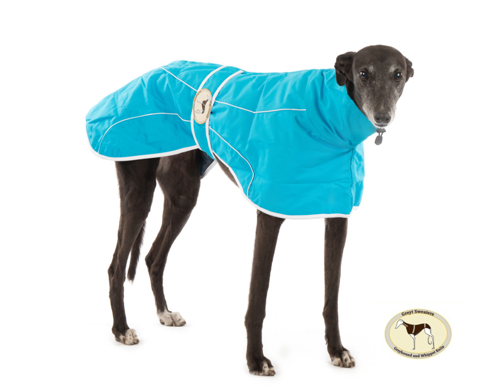 Ferozi Rain Mac for Greyhounds