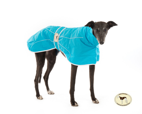 Ferozi Rain Mac for Whippets
