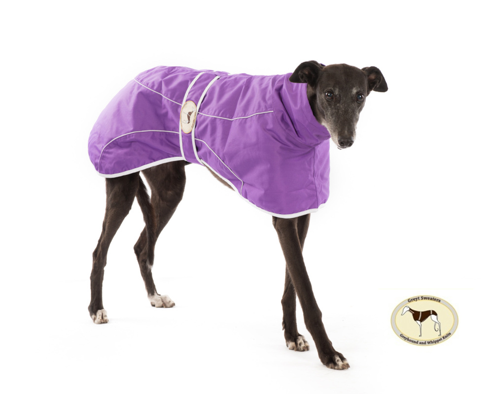 Purple Rain Mac for Greyhounds