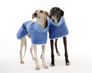 Stonewashed, Faded Blue Denim Coat for Greyhounds