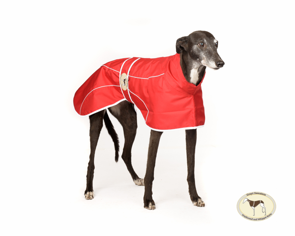 Crimson Red Rain Mac for Greyhounds