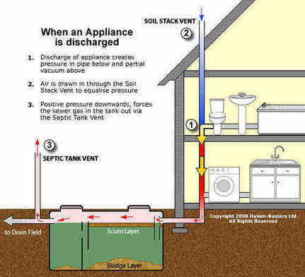 Septic tank smell in house after rain