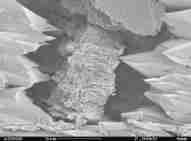 Clay particles in a septic tank soakaway under an electron microscope.