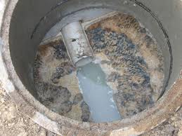 Backed-up septic tank. There should be no sewage water in the inspection chamber