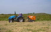 haymaking