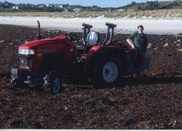 hauling seaweed from the beach