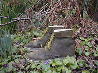 olive woodland boots