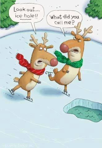 Funny Reindeer Christmas picture