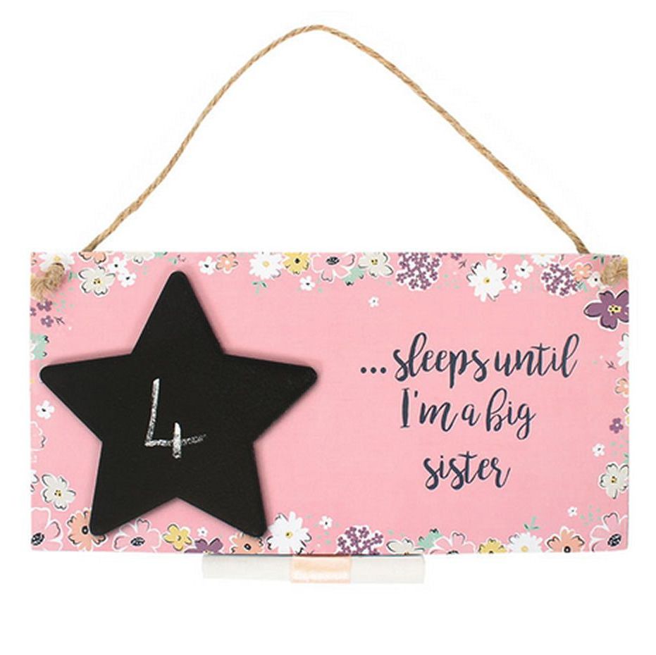 Baby Sister or Brother Countdown Hanging Plaque