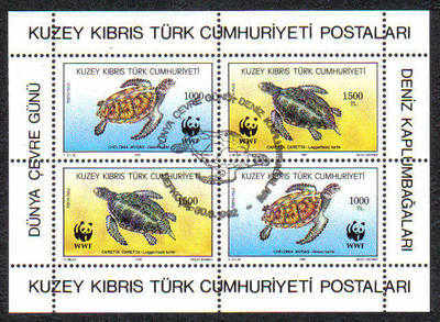 North Cyprus Stamps SG 335 1992 Turtles - USED (d001)