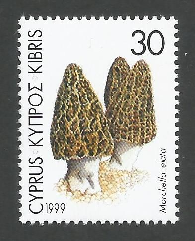 Cyprus Stamps SG 968 1999 30c - MINT