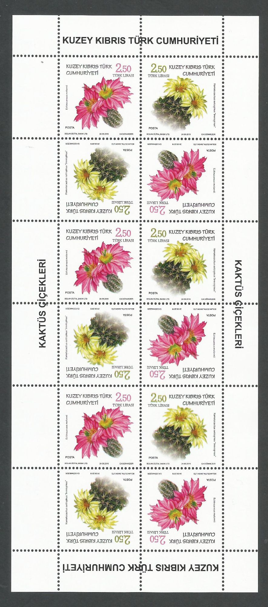 North Cyprus Stamps SG 2019 (f) Cactus Flowers - Full sheet MINT 