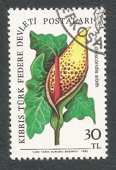 North Cyprus Stamps SG 113 1981 30TL - USED (L071)