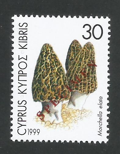 Cyprus Stamps SG 968 1999 30c - Specimen MINT