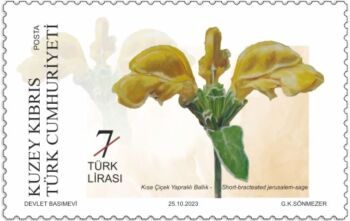 North Cyprus Stamps 2023 Cyprus Endemic Plants - 7TL Short bracteate Jerusa