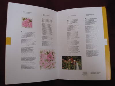 Cyprus stamps 2011 Year book - Aromatic Flowers page