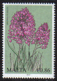 Malta Stamps SG 1672 2010 86c Biodiversity Maltese pyramidal orchid - MINT