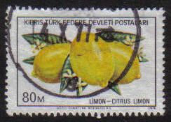 North Cyprus Stamps SG 033 1976 80m - USED (g098)