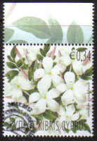 Cyprus Stamps SG 1277 2012 Aromatic Flowers Jasmine - CTO USED (g255)