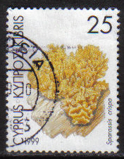 Cyprus Stamps SG 967 1999 25c - USED (h119)