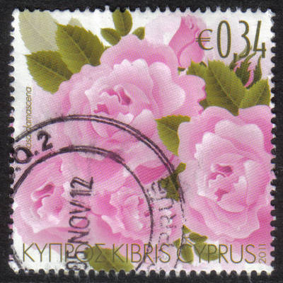 Cyprus Stamps SG 1243 2011 Aromatic Flowers Roses - USED (h418)