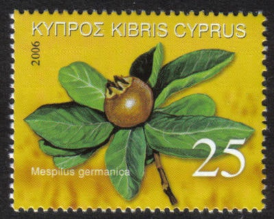 Cyprus Stamps SG 1113 2006 Europa 25c - MINT