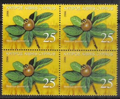 Cyprus Stamps SG 1113 2006 Europa 25c - Block of 4 MINT