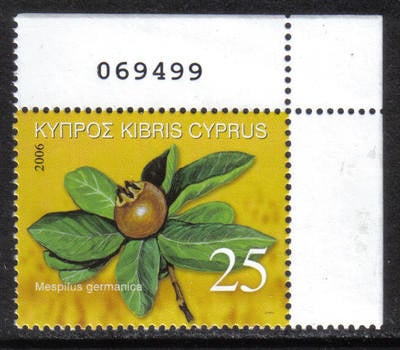 Cyprus Stamps SG 1113 2006 Europa 25c - Control numbers MINT