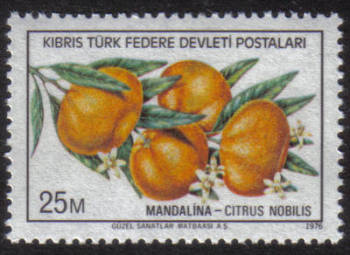 North Cyprus Stamps SG 030 1976 25m - MINT 