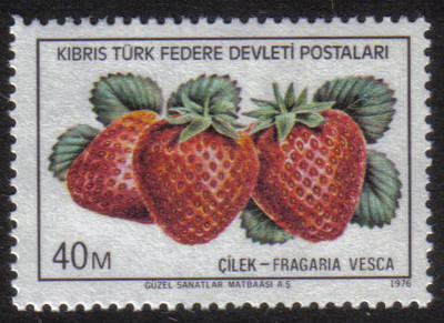 North Cyprus Stamps SG 031 1976 40m - MINT